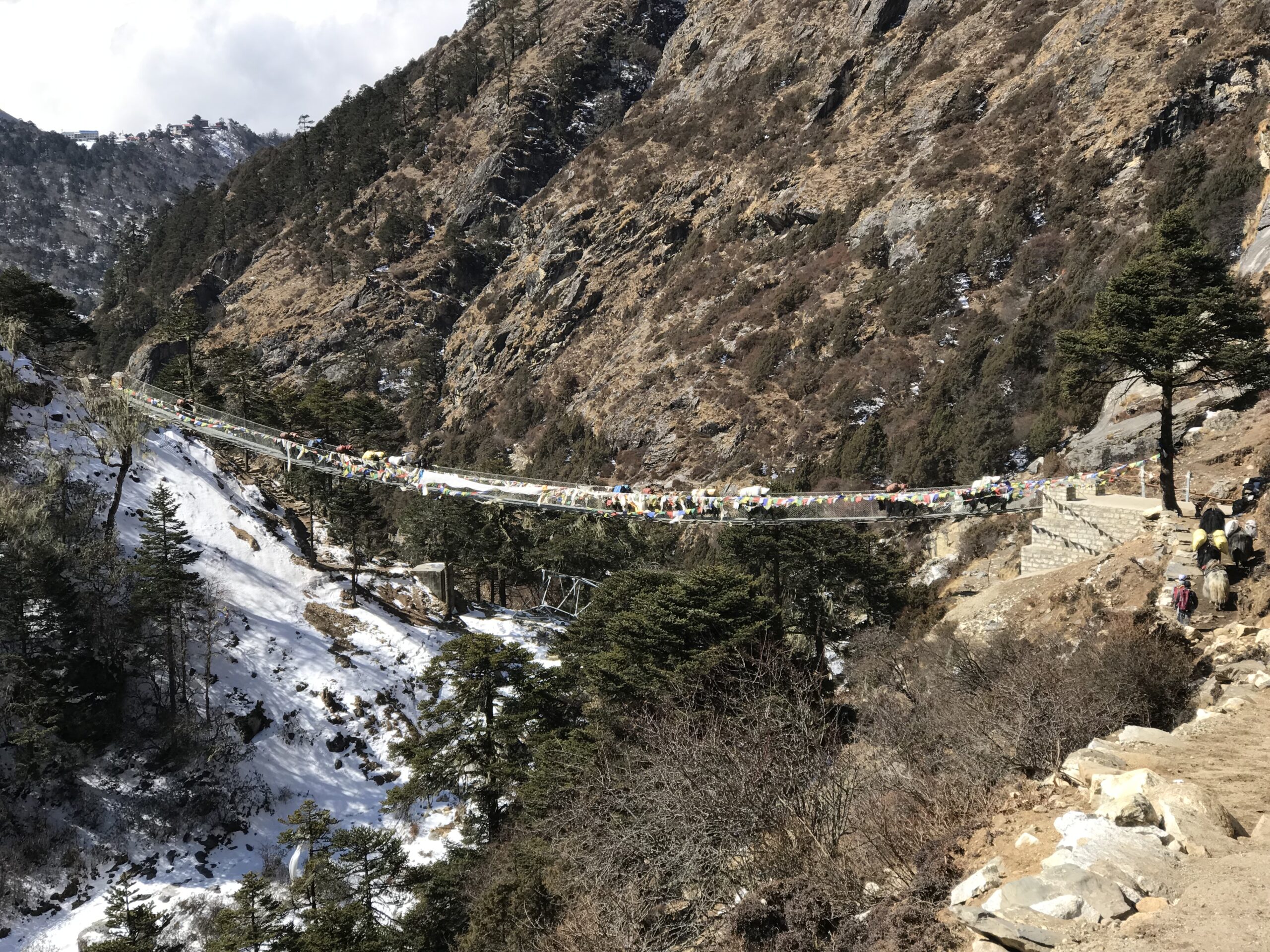 Best time for Annapurna Base Camp trek