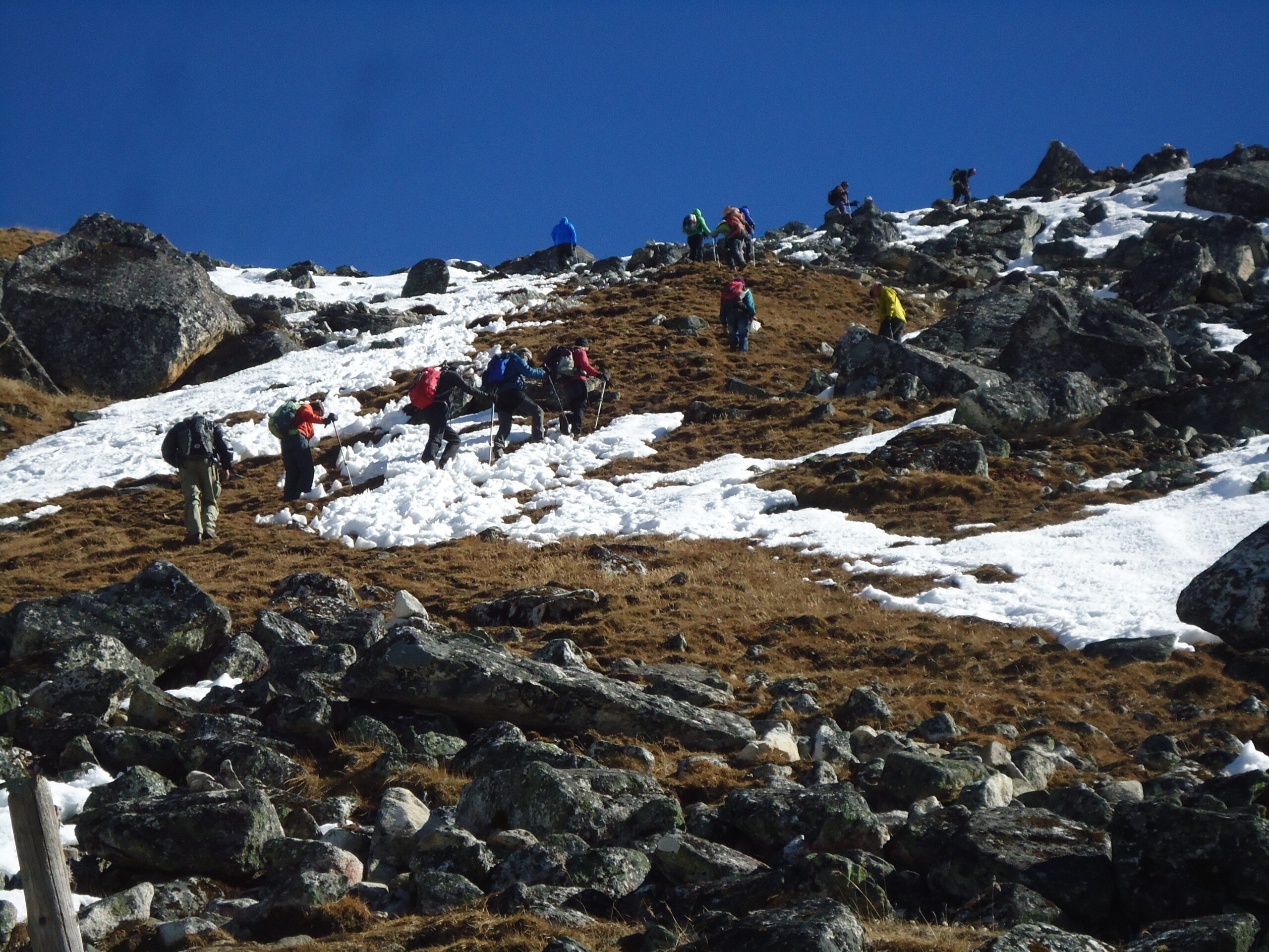 Explore the Charm of best langtang trek.