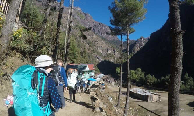 Why do people go on trek ?
