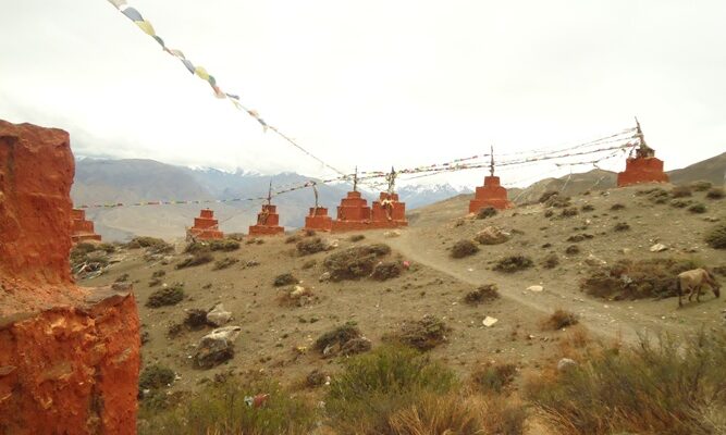 Mustang Overland Tour