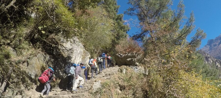 Trekking in Nepal: Top 15 Treks Guide