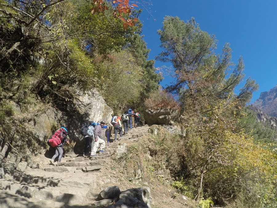 Trekking in Nepal: Top 15 Treks Guide