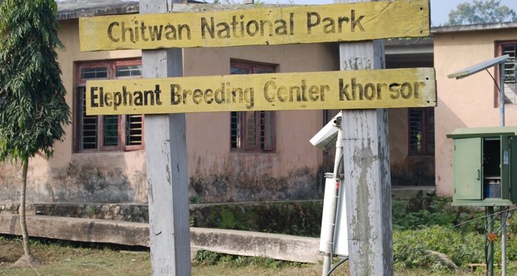 Top 7 Safaris in Nepal
