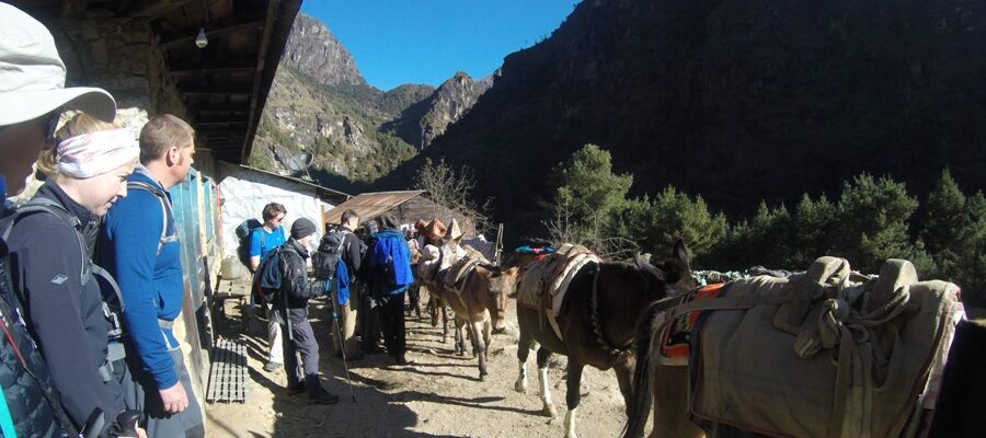 Nepal Trekking Tourism and Adventure