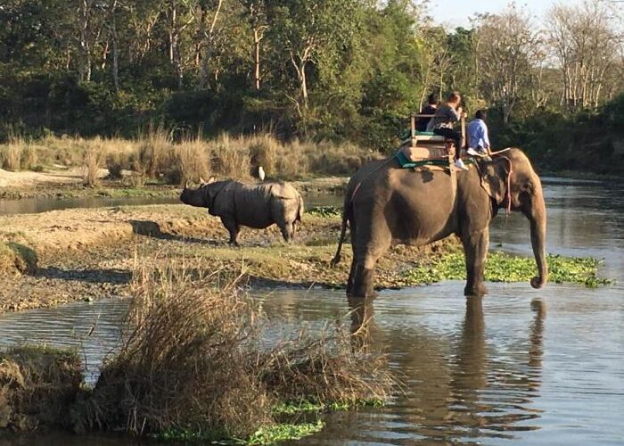 1 night 2 days Chitwan Jungle Safari