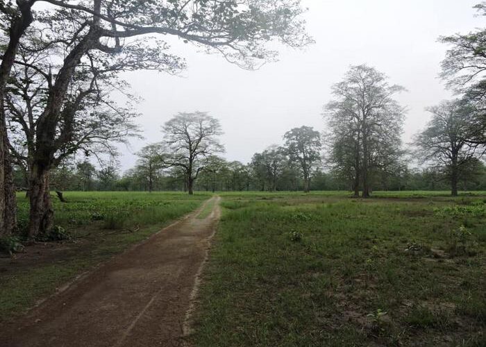2 Nights 3 Days Bardiya Tour Package