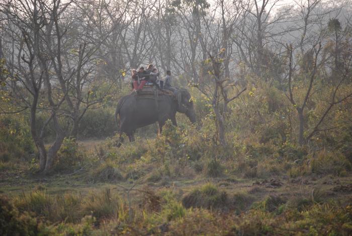 2 nights 3 days Chitwan Jungle Safari
