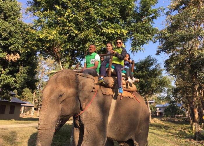 3 nights 4 days Chitwan Jungle Safari Tour