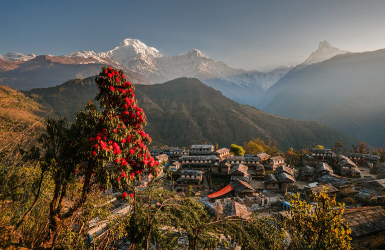 Annapurna Easy and Short Trek – 5 Days