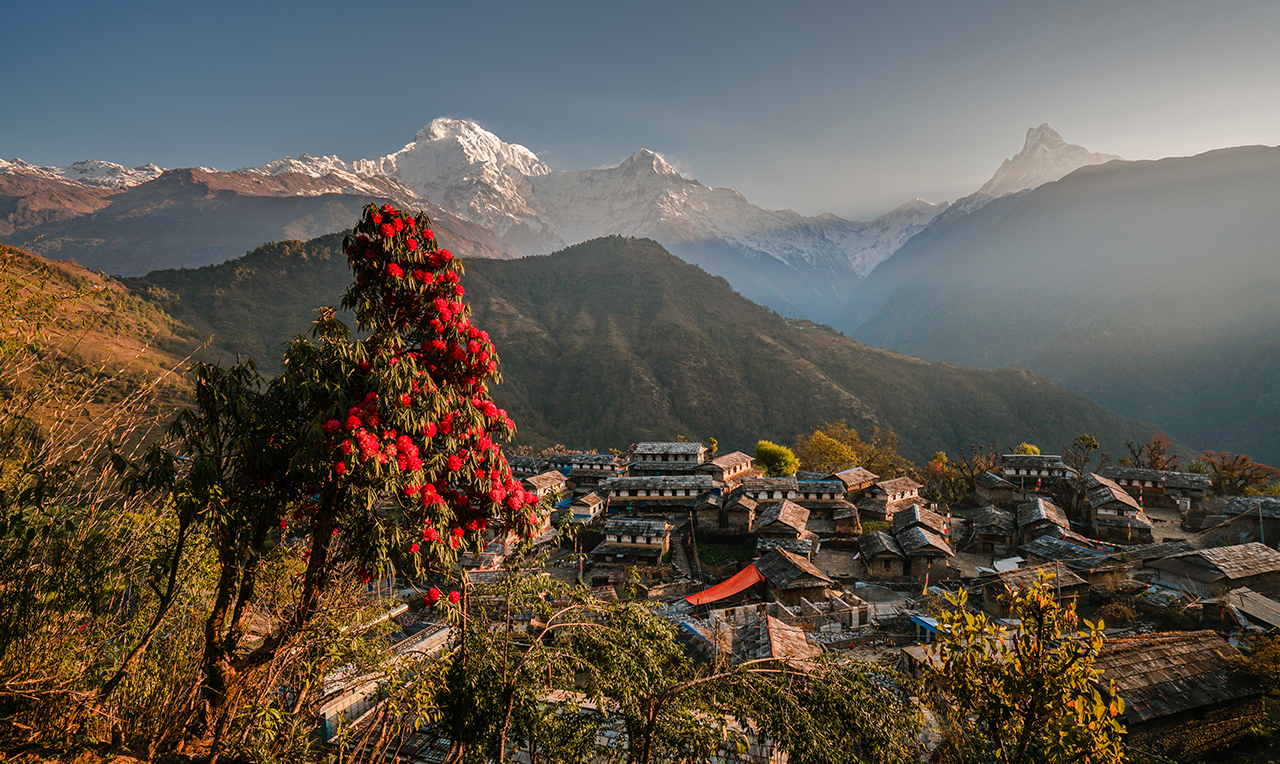 Annapurna Easy and Short Trek – 5 Days