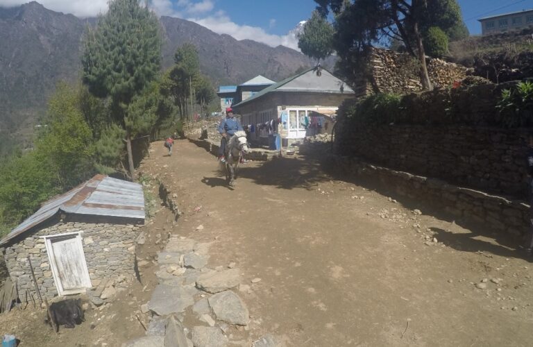 Everest Base Camp Horse Riding Trek cost & Itinerary