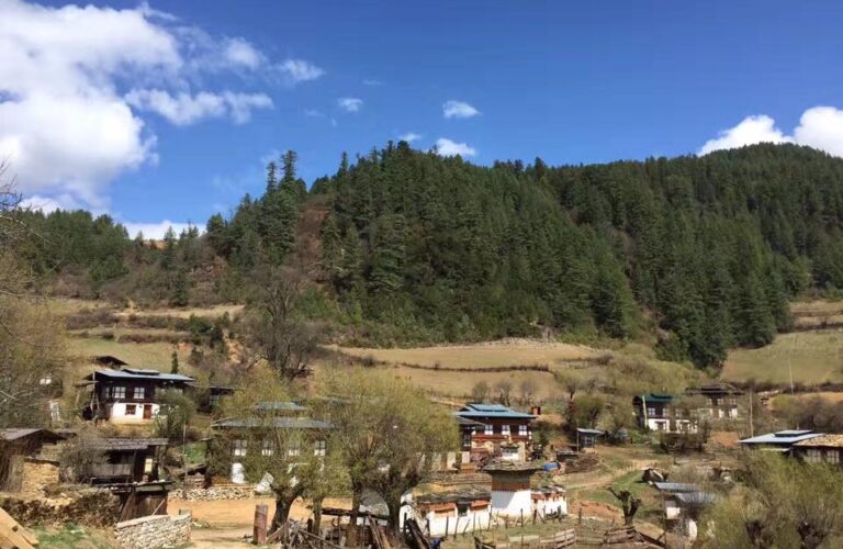 Exotic Bhutan