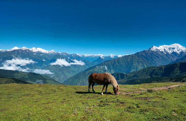 Langtang Gosaikunda Trek