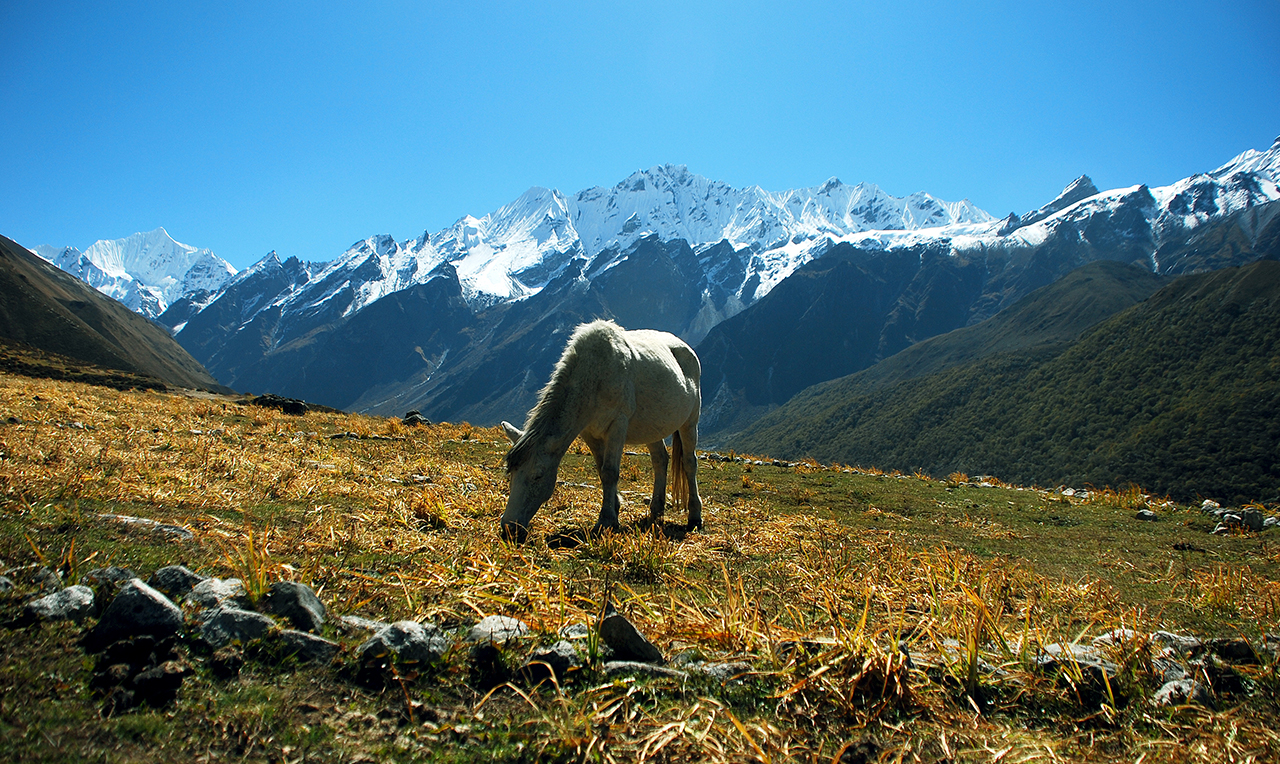 Langtang Valley Trekking – 8 Days