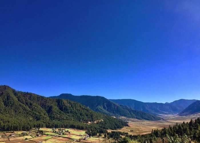 Bhutan Gangtey Nature Tour