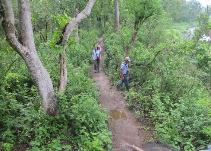 Jungle Safari in Nepal