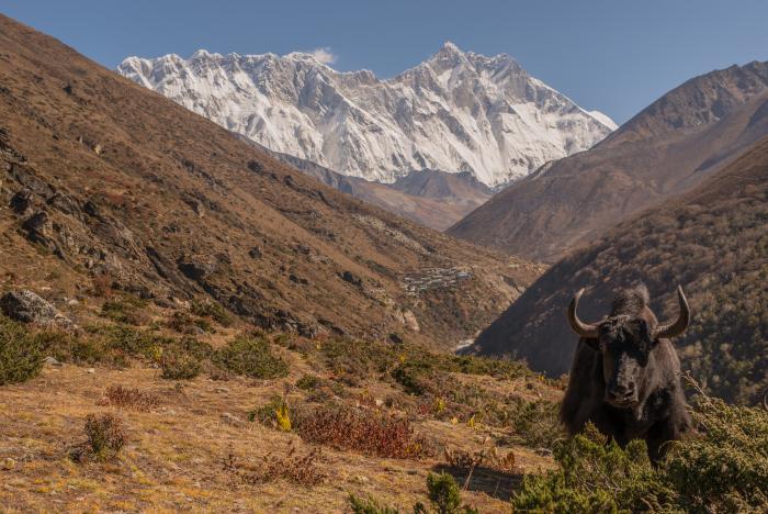 Everest Yeti Trekking Trail – 13 Days
