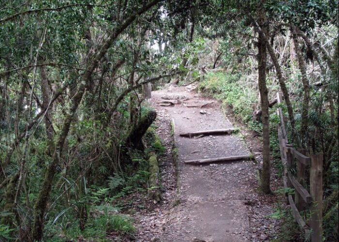 Millennium Trekking – 12 Days