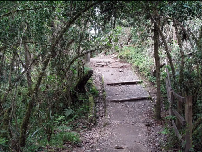 Millennium Trekking – 12 Days