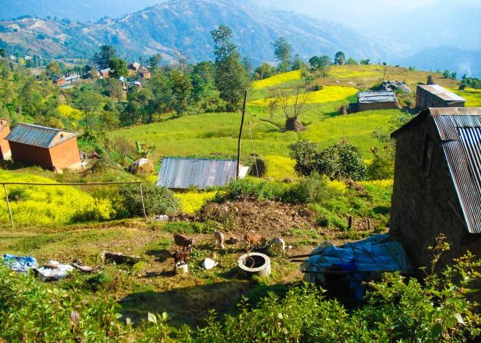 Nepal Village Tour