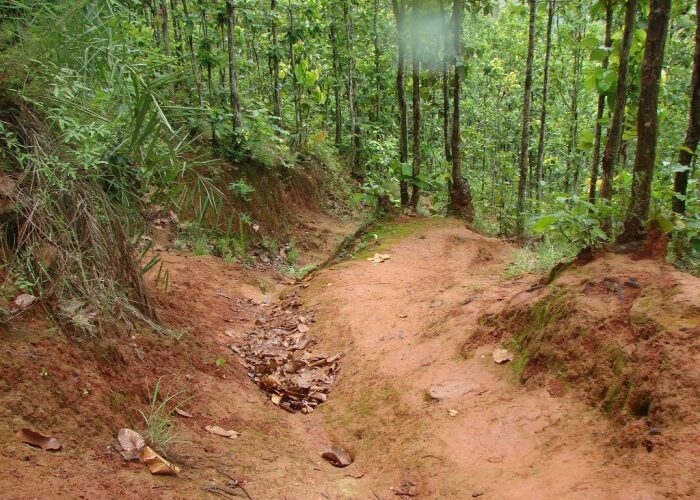 Trishuli To Gorkha short Trek – 11 Days