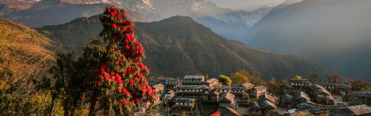 Khopra Danda Trek for Beginners: Tips and Tricks