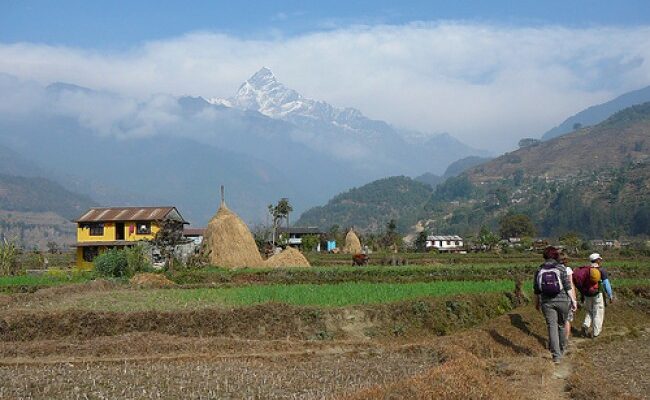 Best Time to do Sikles Trek: Seasonal Guide