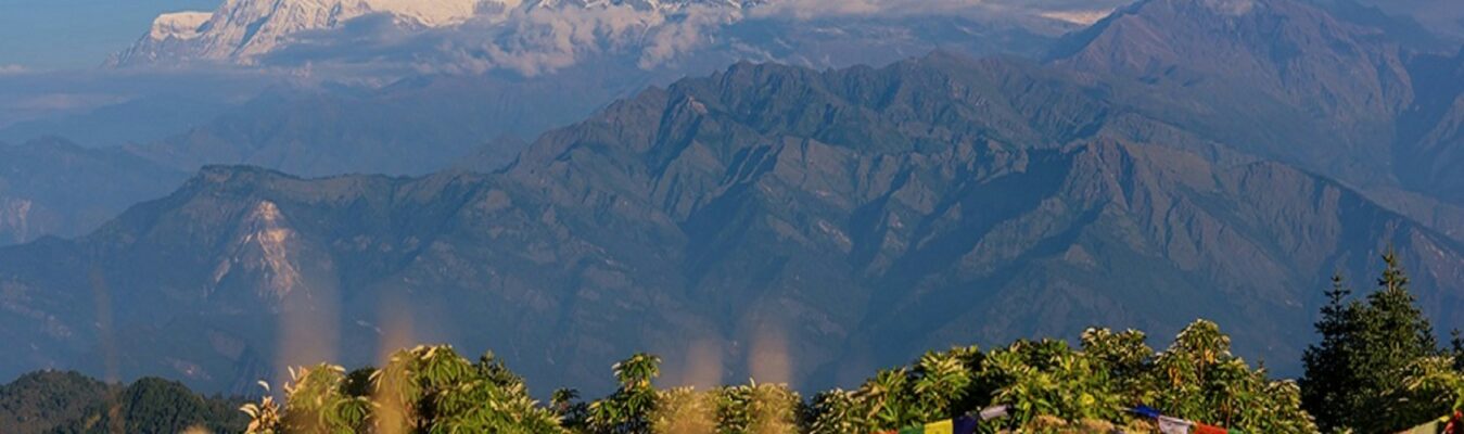 Ghorepani Poon Hill Trek: Complete Guide for Beginners