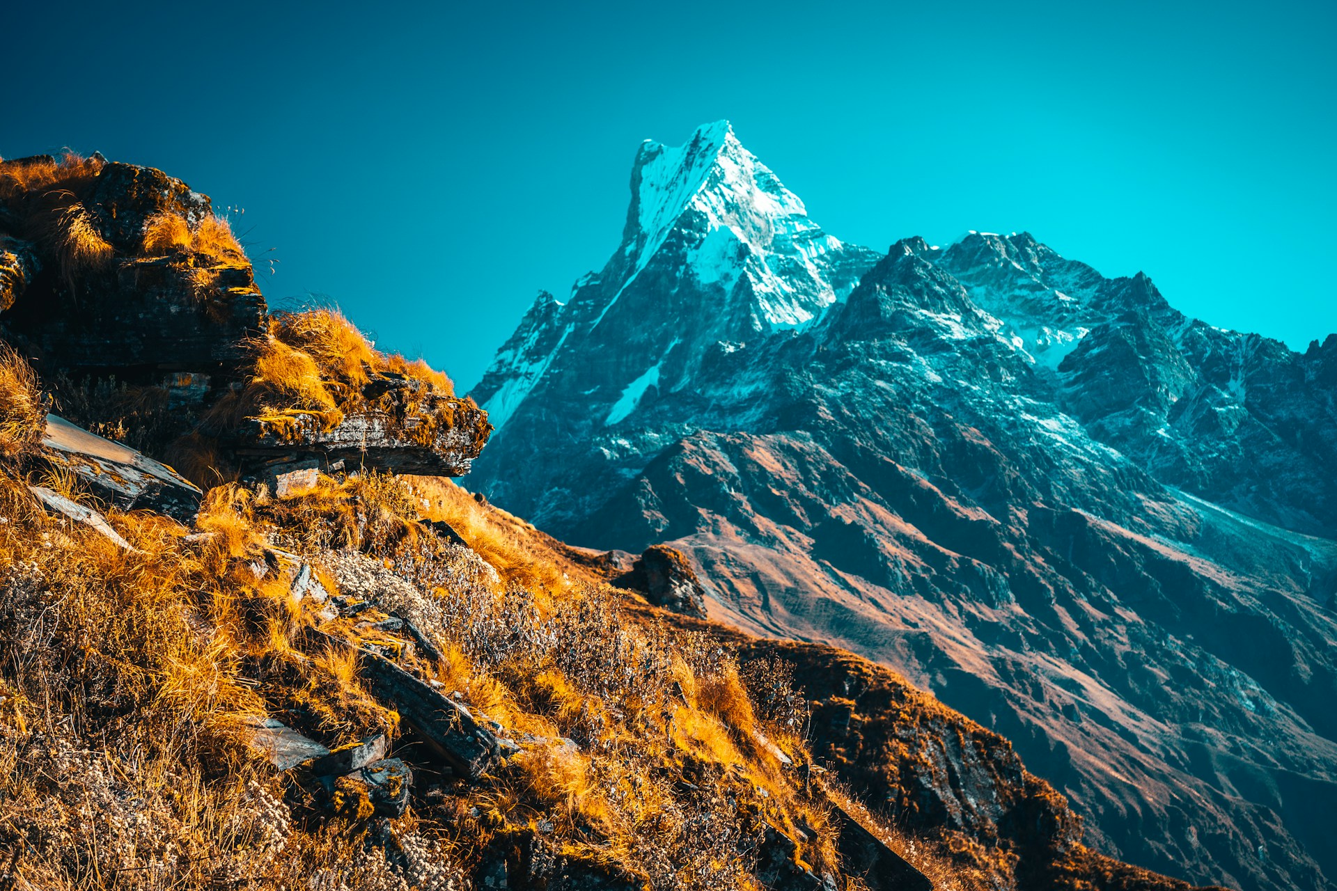 Mardi Himal Trek Nepal: Why It’s a Must-Do Short Trek in Nepal
