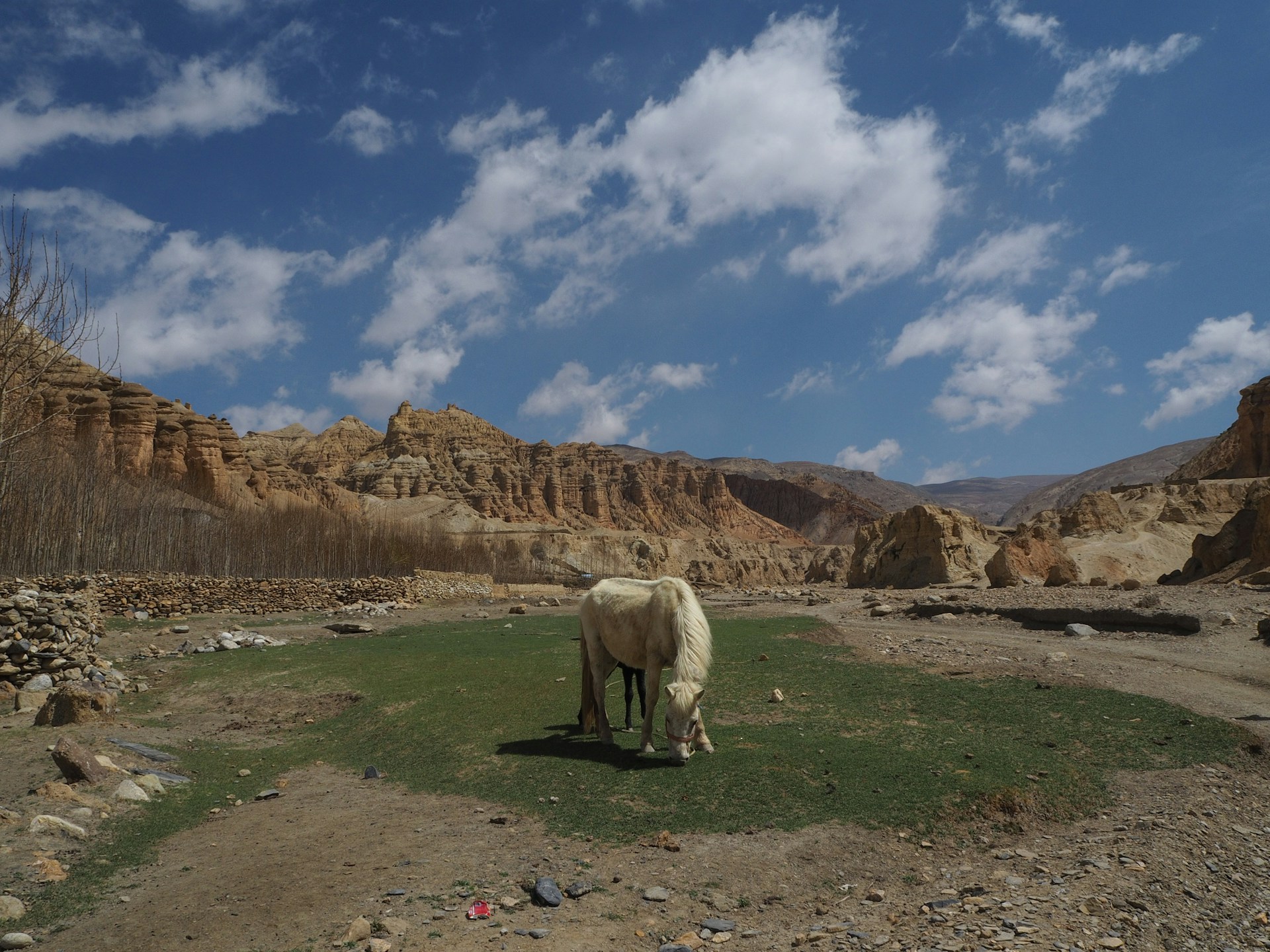 Upper Mustang Trek