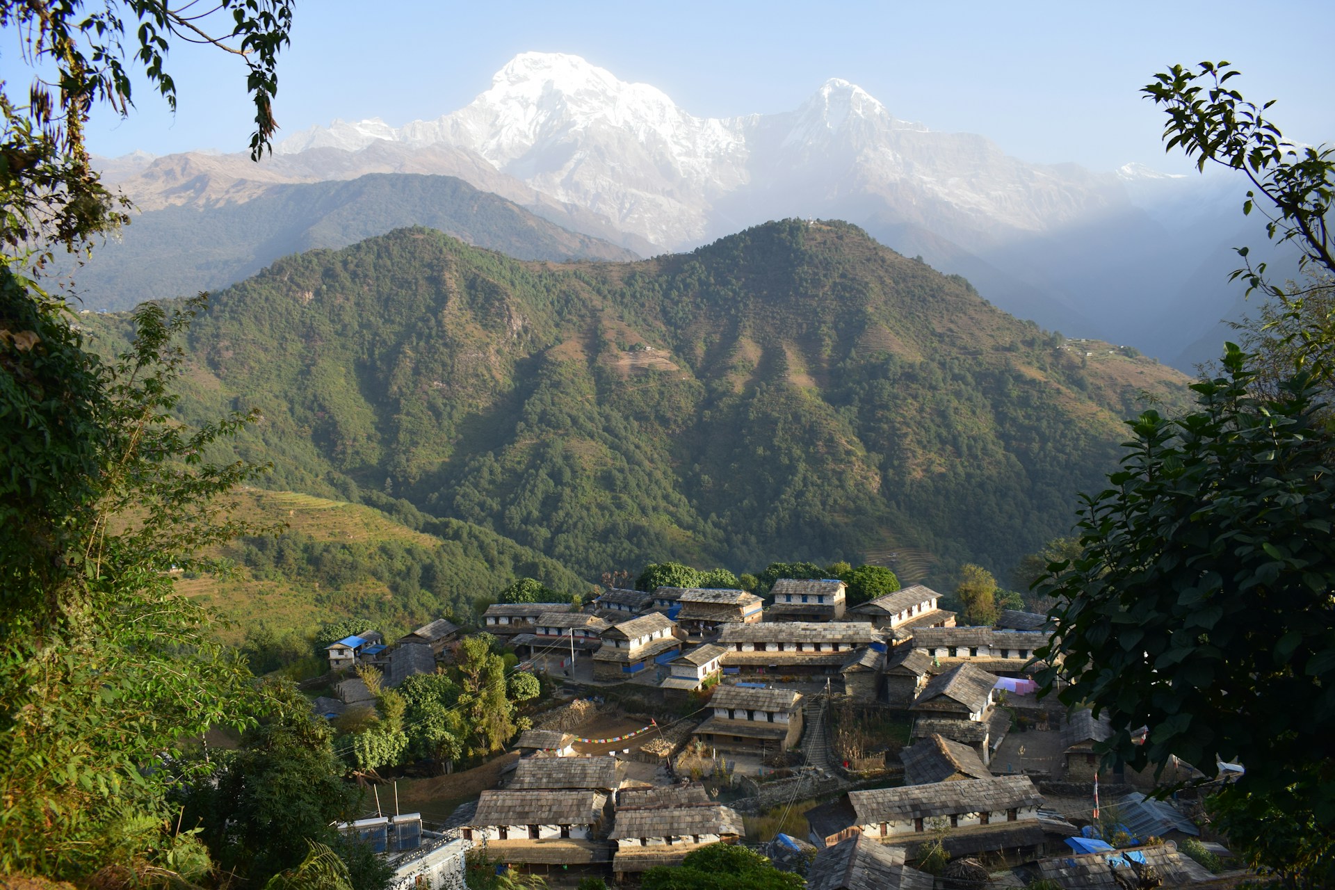 Ghorepani Ghandruk Trekking in Nepal