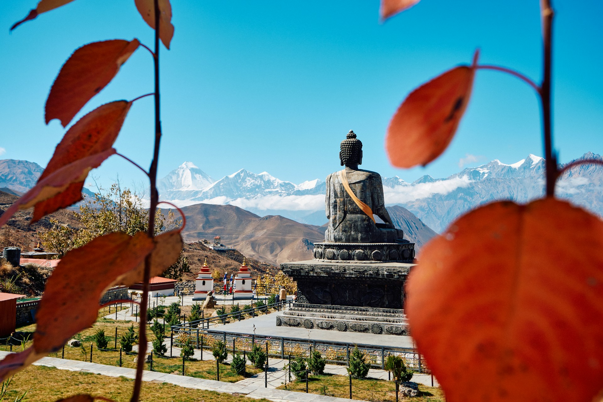 Cultural and Local Experience